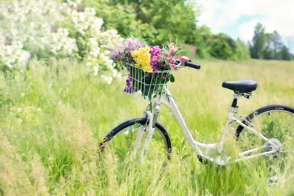 Bikes in your yard