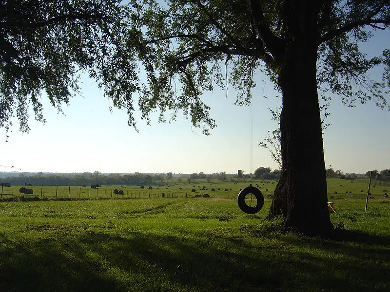 tire swing