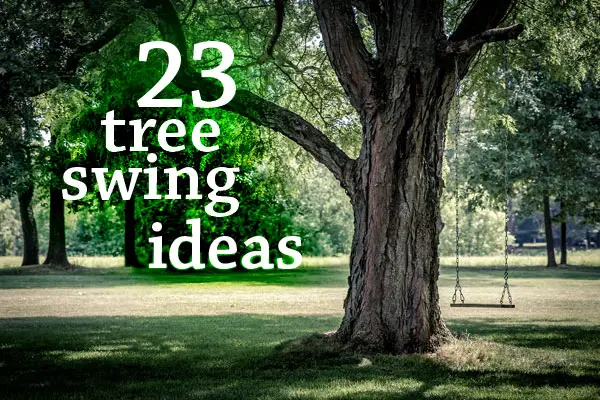 23 Tree Swing Ideas